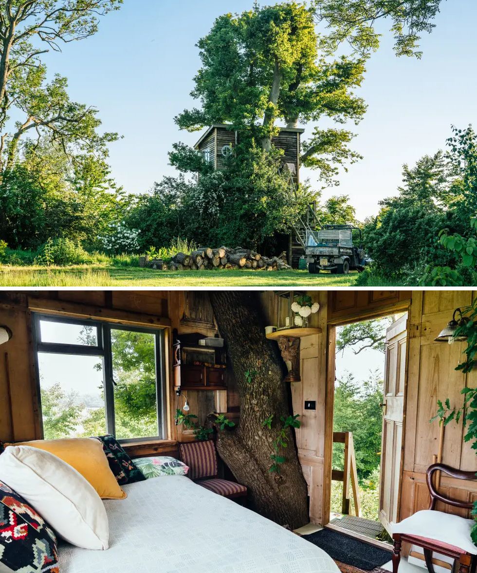 best tree house airbnb