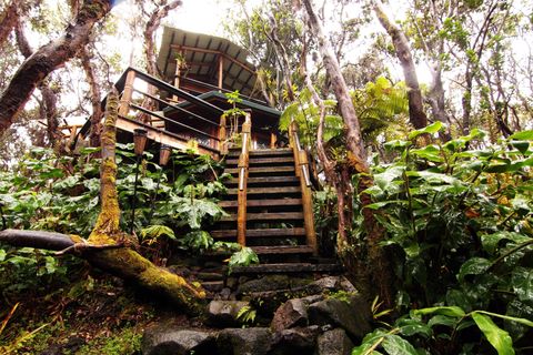 Casa en el árbol en el volcán de Kilauea en Hawaii