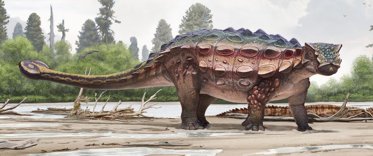 New Spiky Headed Armored Dinosaur Discovered In Utah Was Basically A Tank