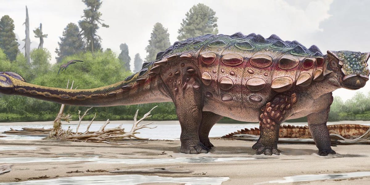 New Spiky-Headed Armored Dinosaur Discovered in Utah Was Basically a Tank