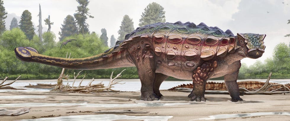 short spiky dinosaur
