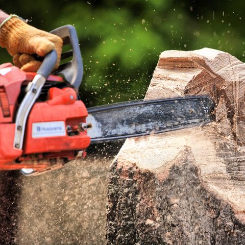 Chainsaw, Tool, Saw chain, Power tool, Wood chopping, Saw, Soil, Lumberjack, Hand saw, Machine, 
