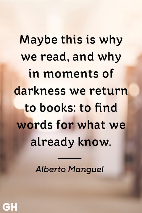 26 Best Book Quotes Quotes About Reading