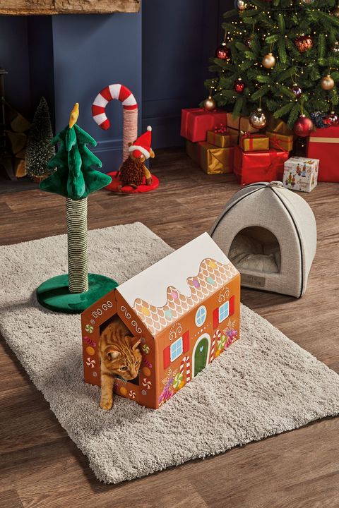 aldi launches a range of Christmas gifts for pets