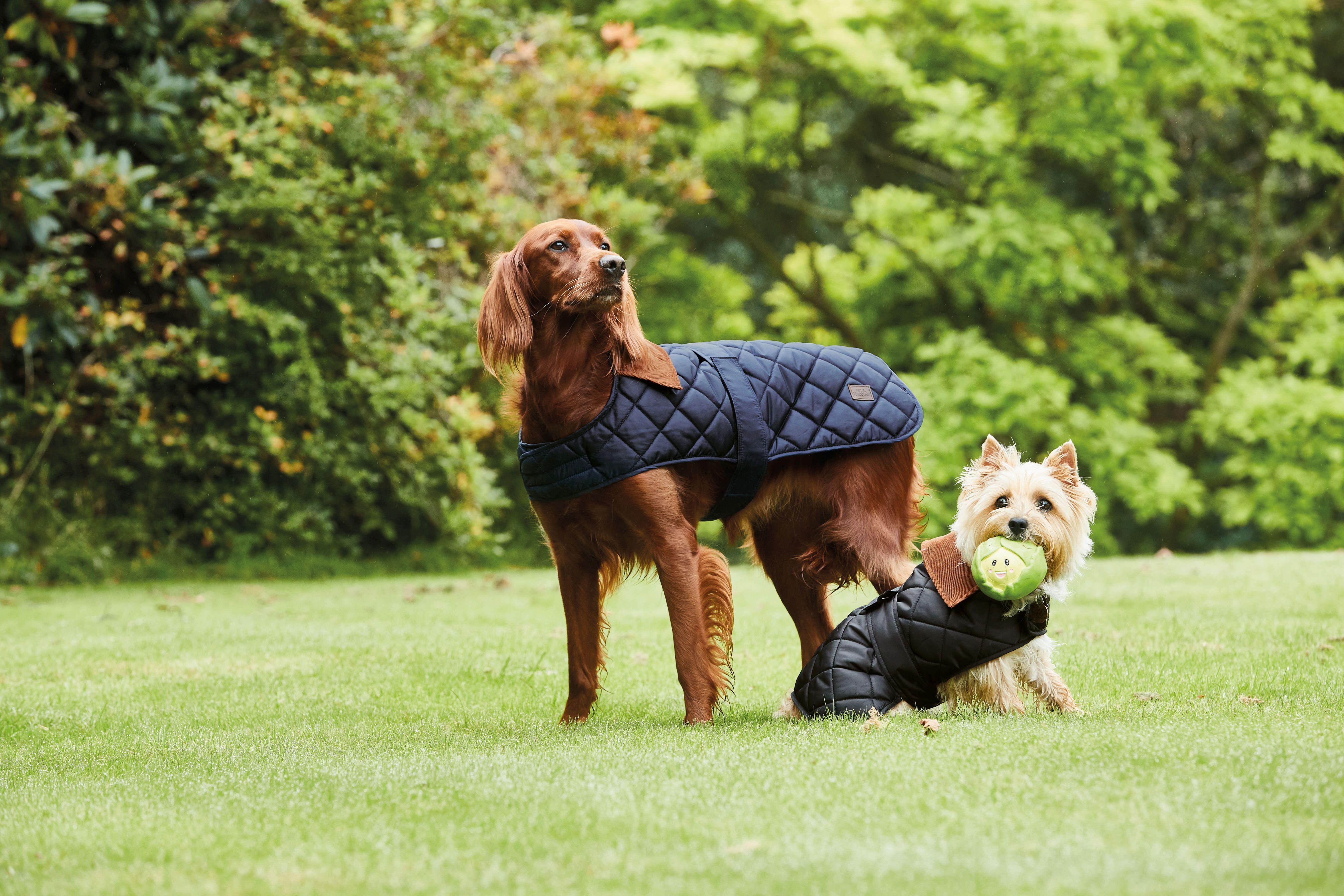 aldi dog puffer jacket