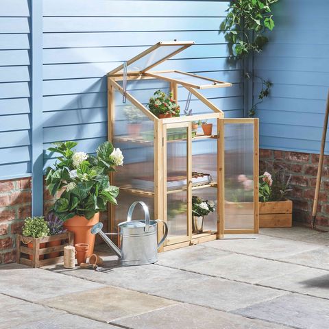 aldi launches garden special buys in time for spring and summer