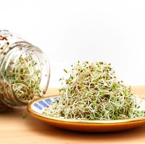 Alfalfa sprouts on plate and in jar