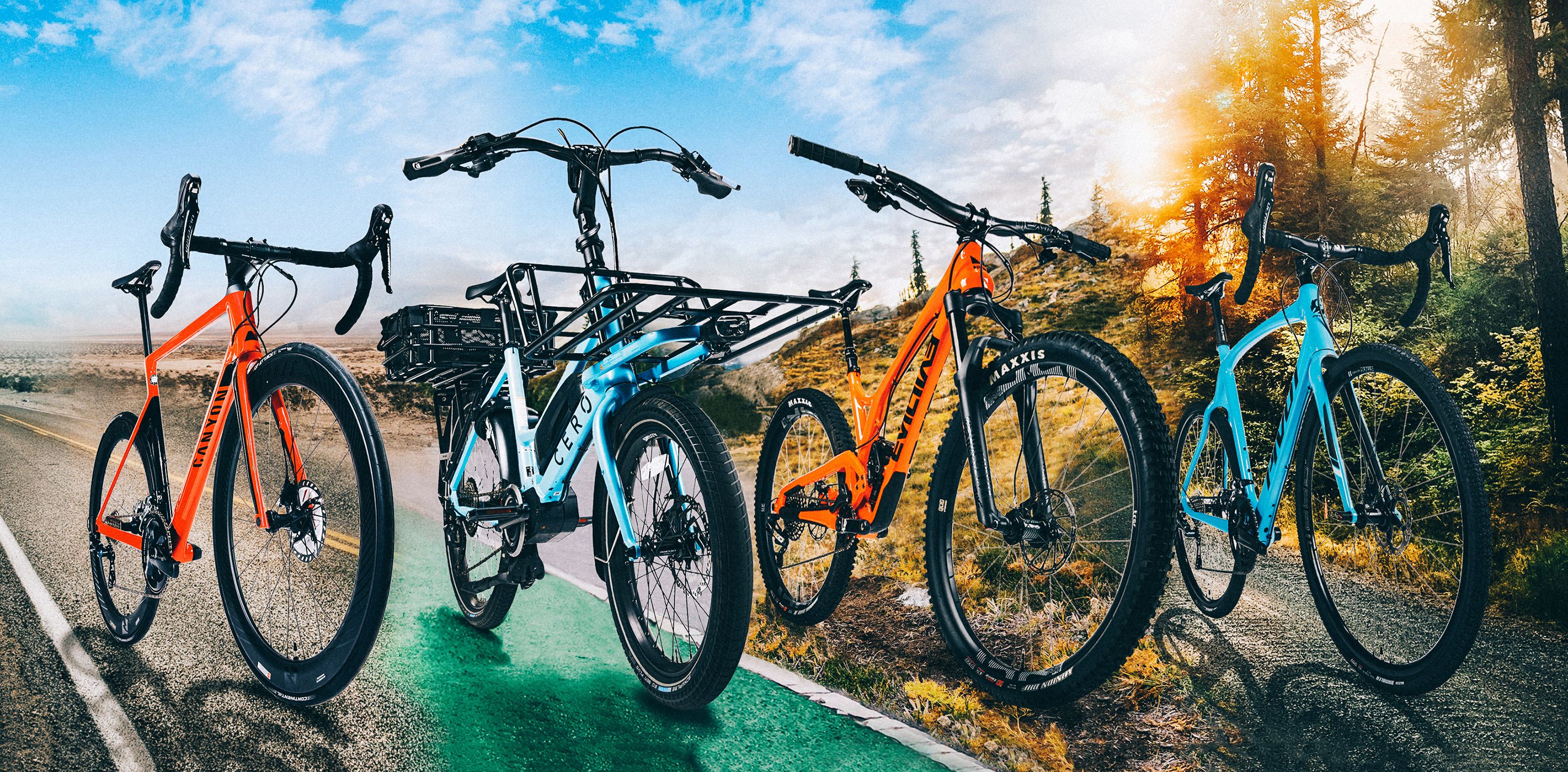 Types of Bikes | Mountain Bike vs. Road 