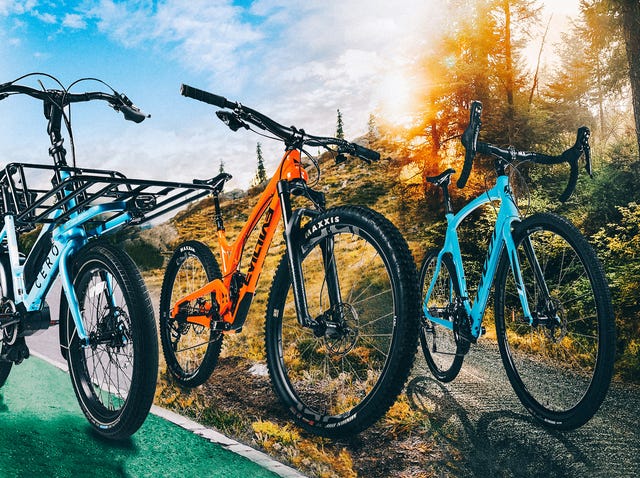 Would you like to try mountain biking?