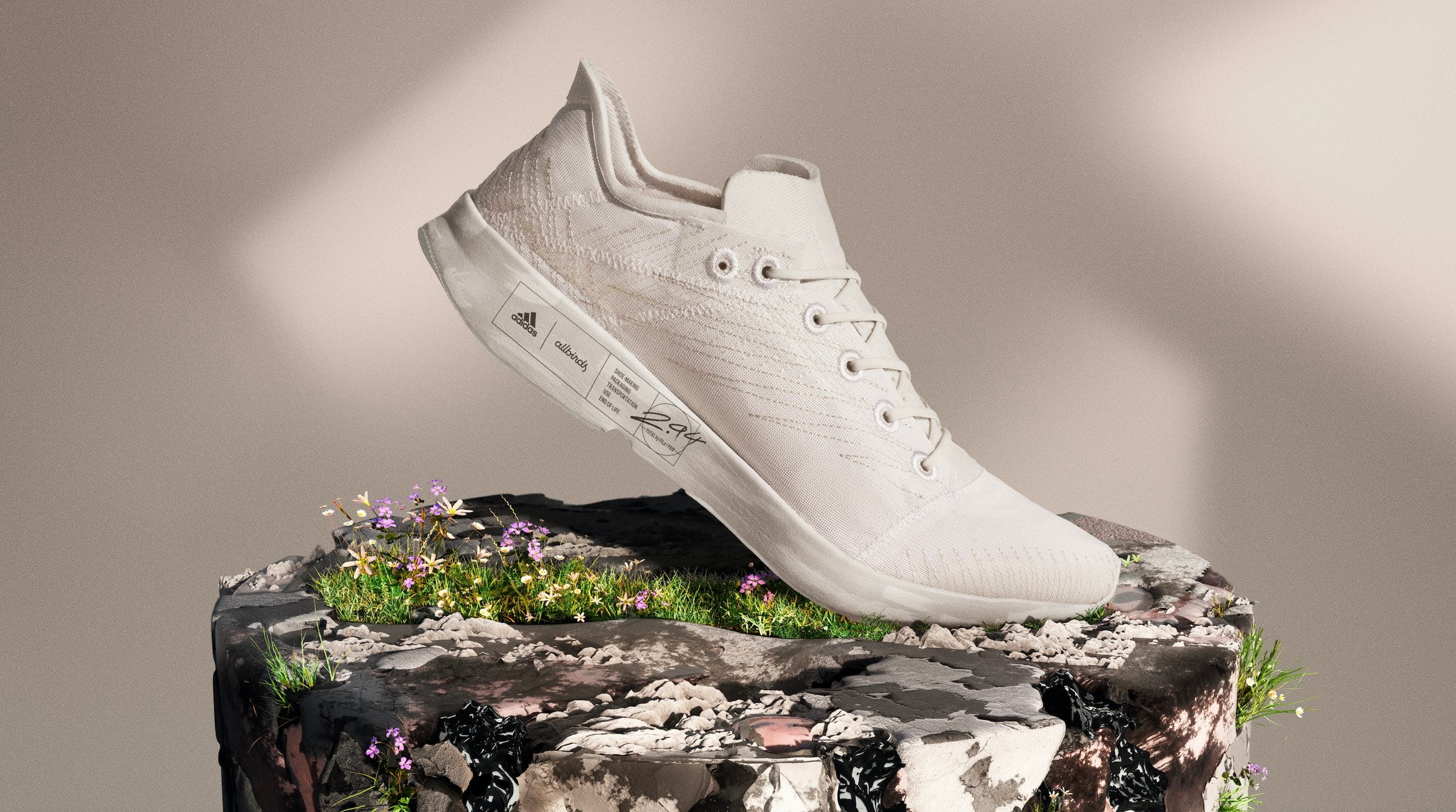 Allbirds and Adidas Just Launched an Eco-Friendly Sneaker