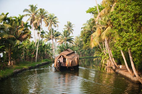 The Ultimate Guide To Kerala