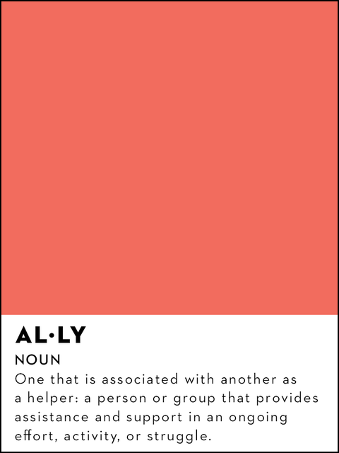 ally definition