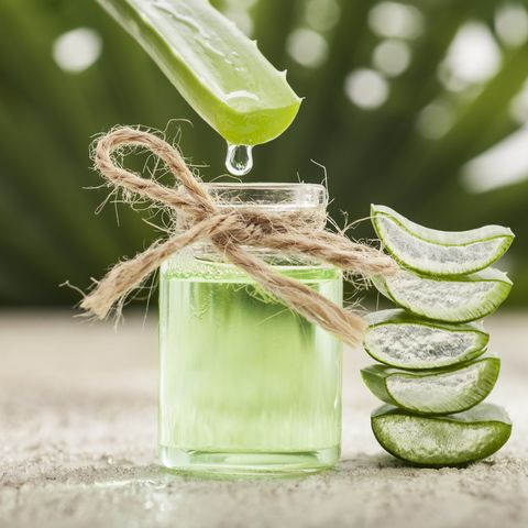 Can Drinking Aloe Juice Help You Lose Weight