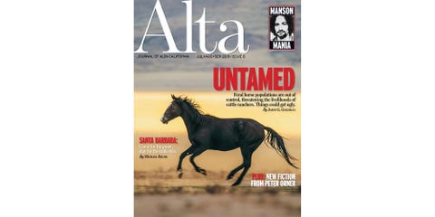 alta cover, july september 2019, issue 8