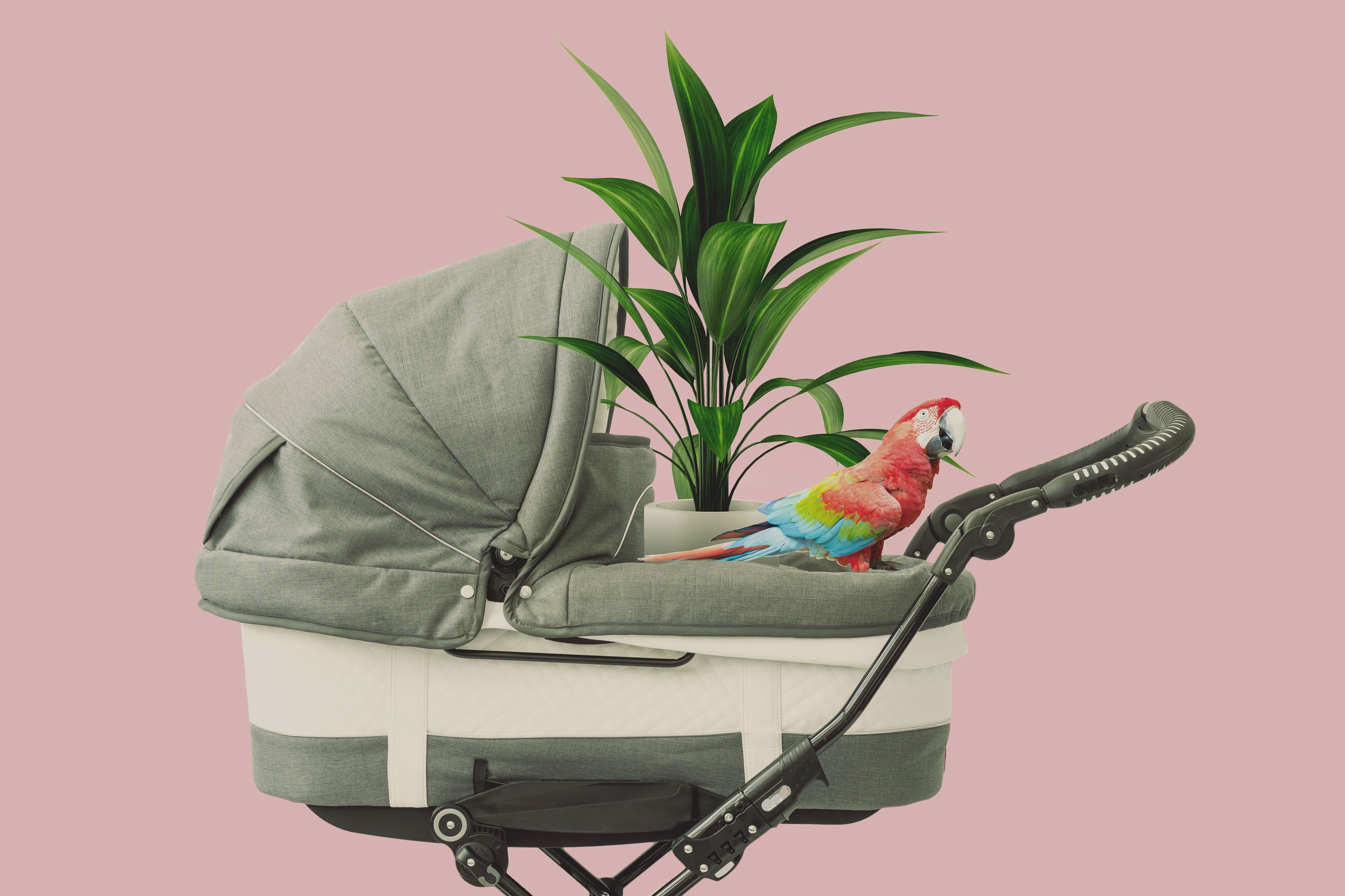 How To Nurture Your Parental Instincts Without Bringing A
