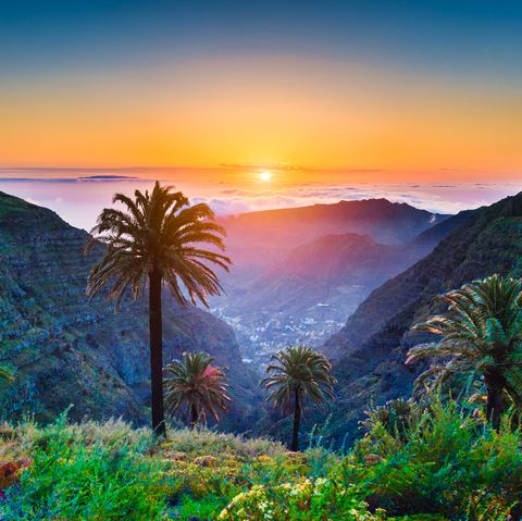 amazing tropical scenery with palm trees and mountains at sunset
