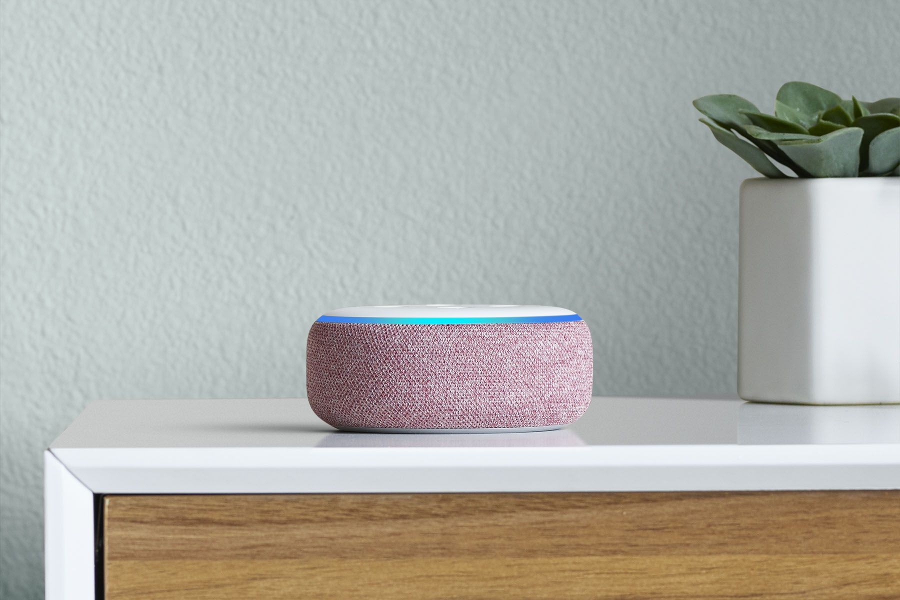 pink alexa speaker