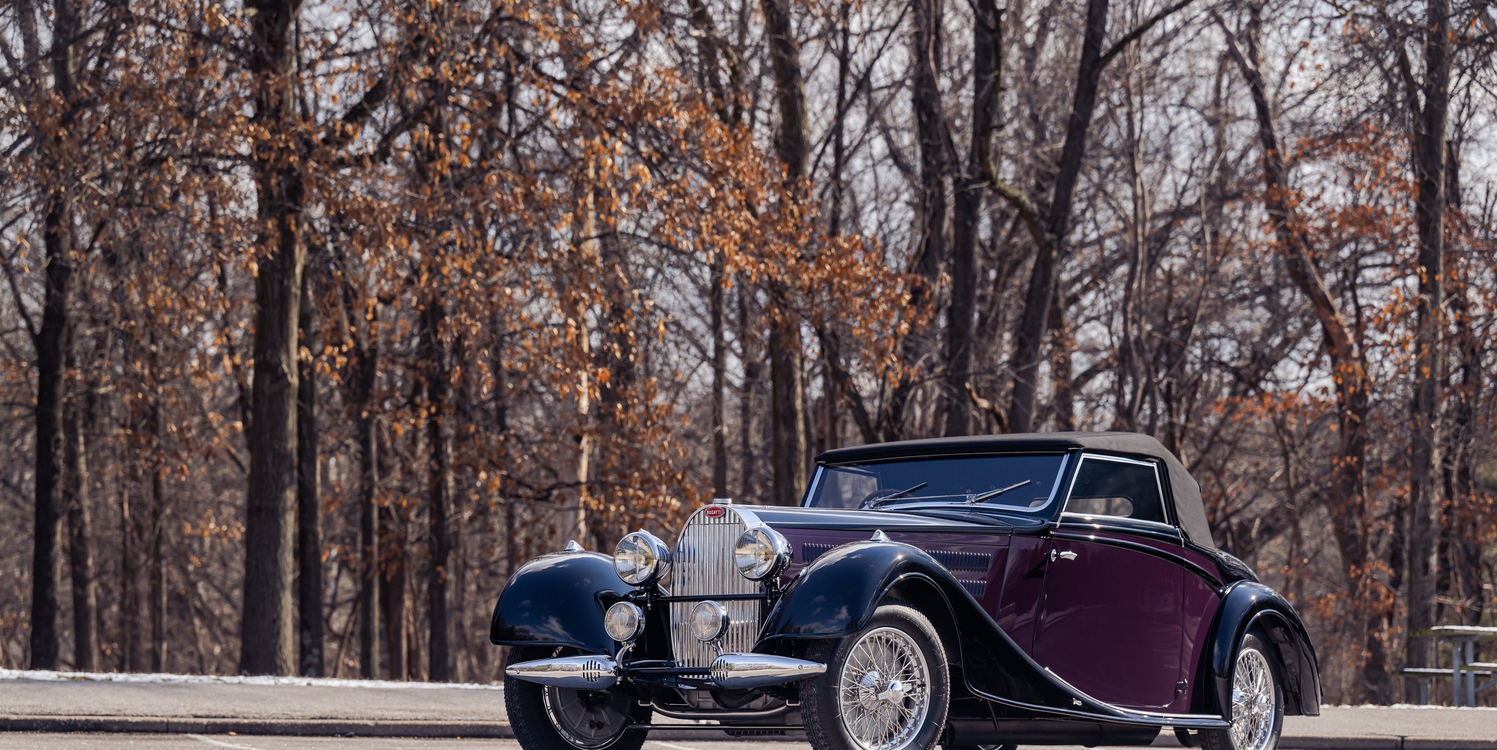 The Amelia 2023 Concours Has Something for Everybody