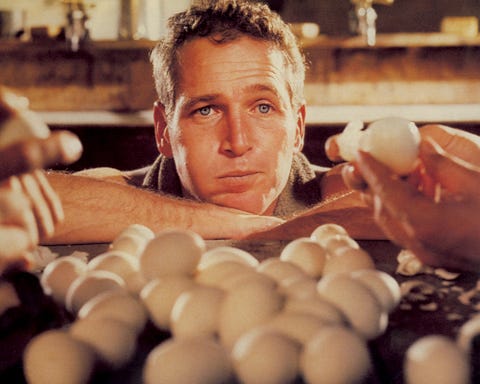 cool hand luke