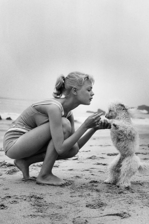 1958年、映画『ギジェット』の撮影中、浜辺で愛らしいプードルと戯れる俳優のサンドラ・ディー。