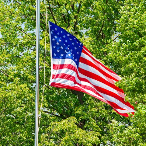 American flag at half-mast in trees