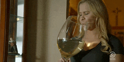 amy-schumer-drinking-gif-downsized-large-1522769583.gif
