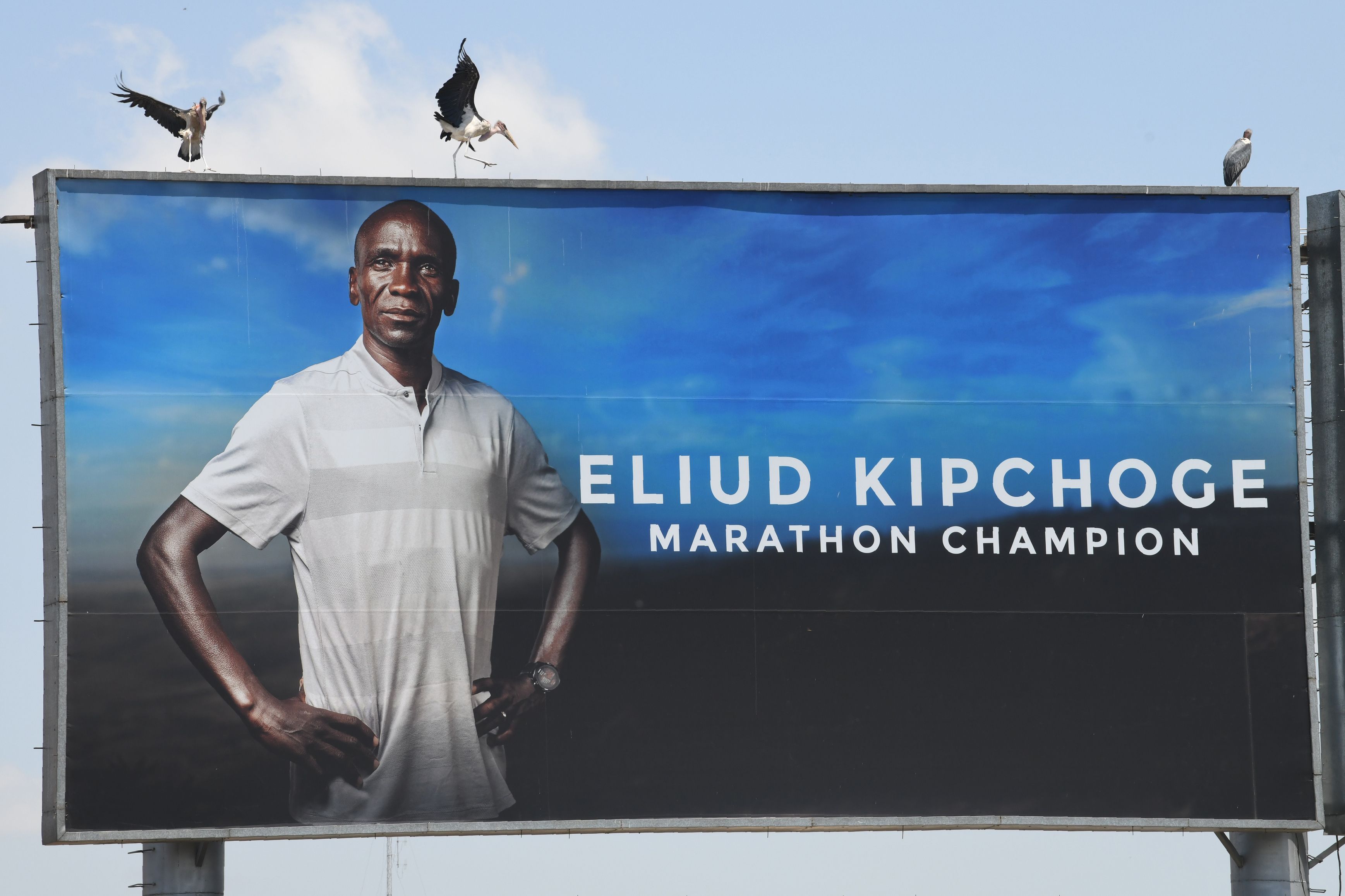 REVÍVELO: Vídeo del reto de Eliud Kipchoge en Viena Transmisión en vivo Reto INEOS 1:59 (LiveStream)
