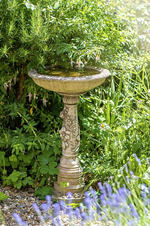 an ornate stone bird bath feature in an english cottage garden with soft sunlight and flowers