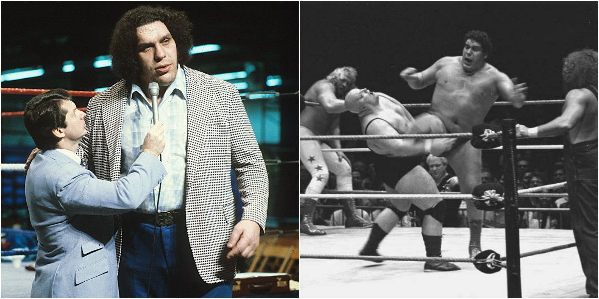 andre the giant, wwe, wrestling, hbo, documentary, vince mcmahon