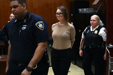 anna delvey paid for inventing anna