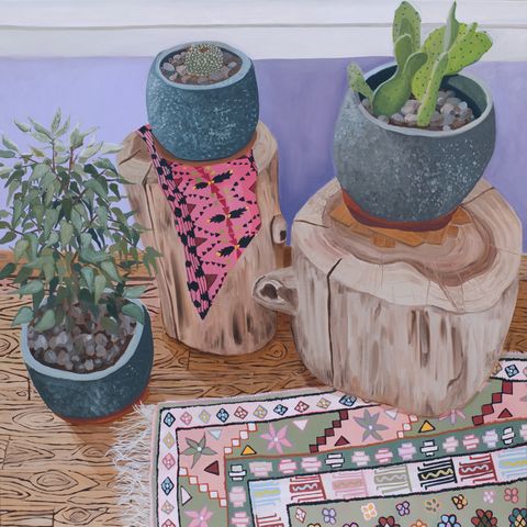 Flowerpot, Cactus, Houseplant, Plant, Flower, Succulent plant, 