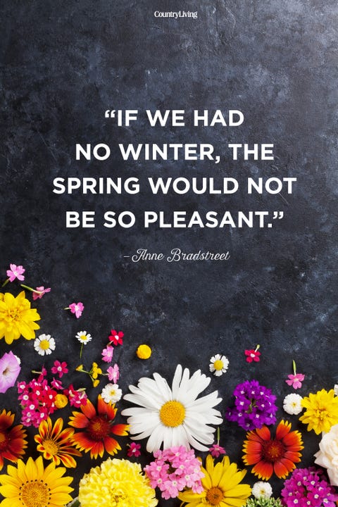 Weather App with Funny Quotes 25 Happy Spring Quotes Motivational Sayings About Spring