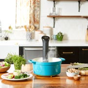 Anova Nano Precision Cooker anova nano precision cooker