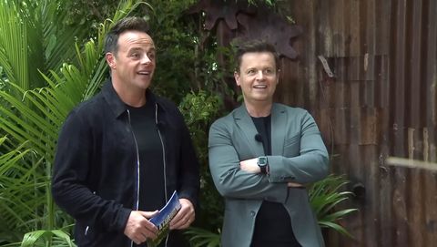ant and dec, i'm a celebrity