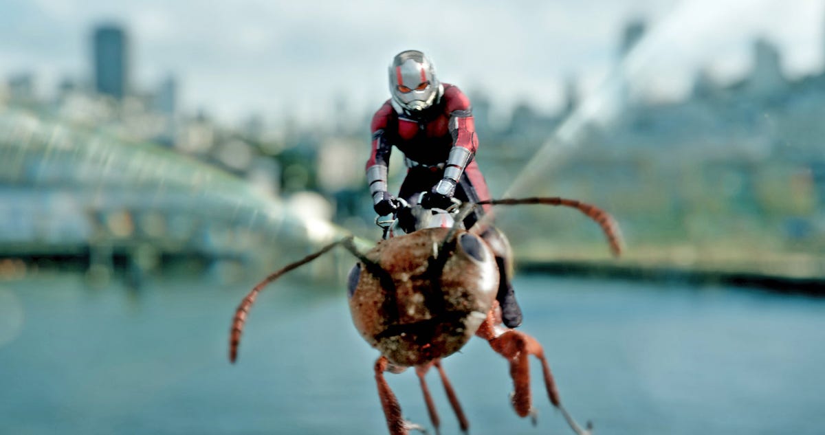 ‘Ant-Man and the Wasp 4’: will there be a fourth installment?