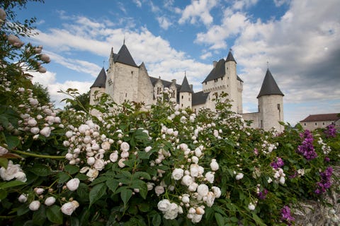 Risultati immagini per CHATEAU DU RIVAU