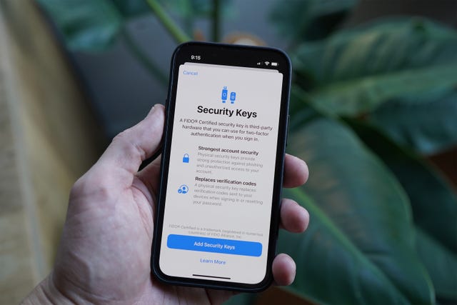 apple iphone security keyes