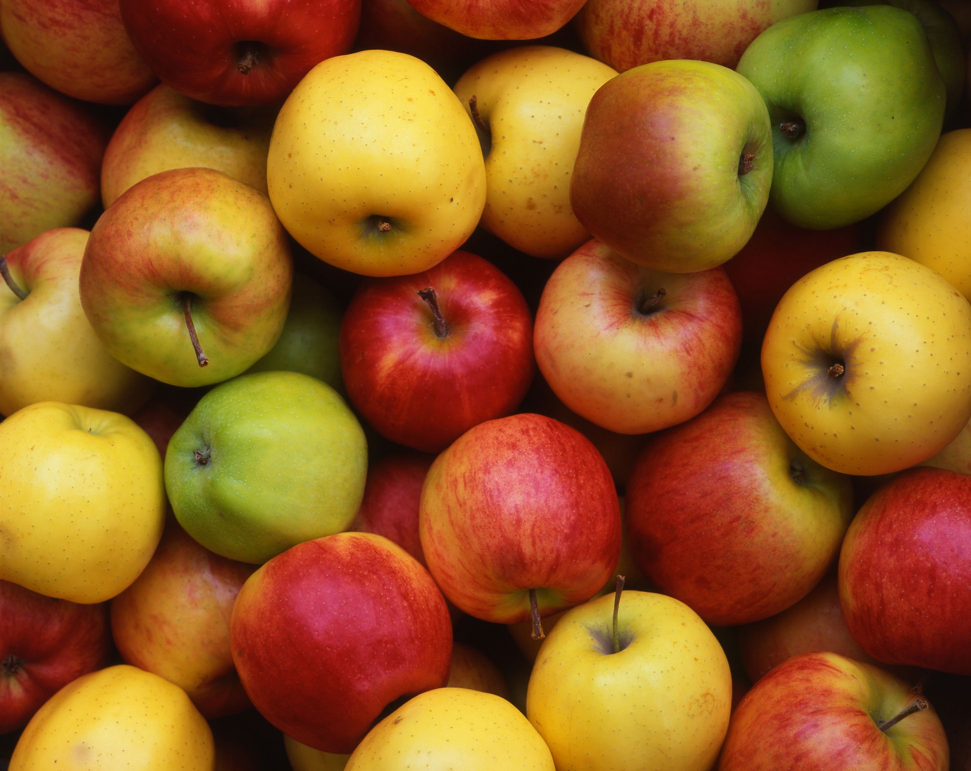 Apples — Great Fruits for Dogs