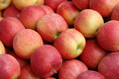 25 Different Types Of Apples Apple Varieties And Their Tastes