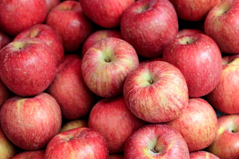 25 Different Types Of Apples Apple Varieties And Their Tastes