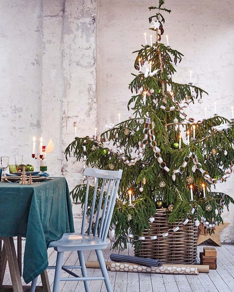 Árbol de Navidad: abeto Árbol de navidad abeto