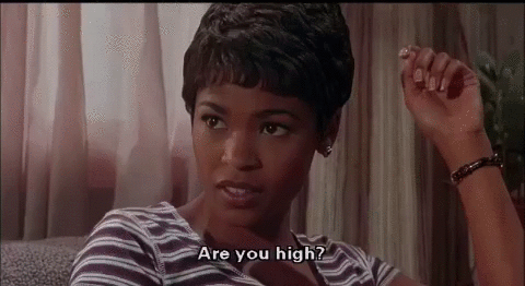 are you high high, what, seriously,