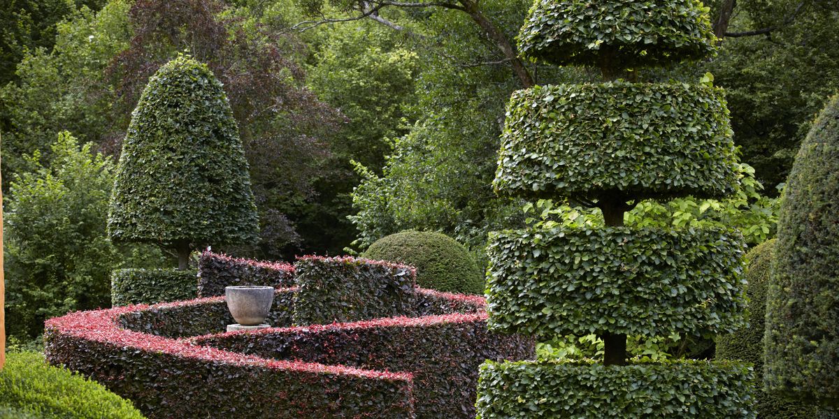 British Garden Designer Arne Maynard on Topiary Design
