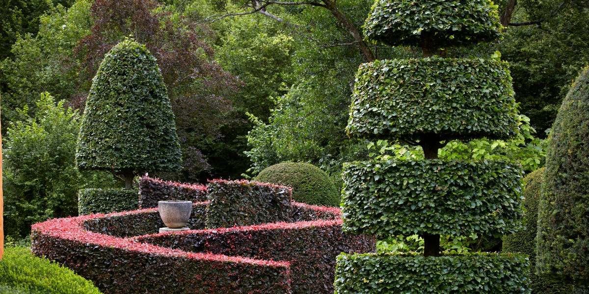 British Backyard Designer Arne Maynard on Topiary Style and design