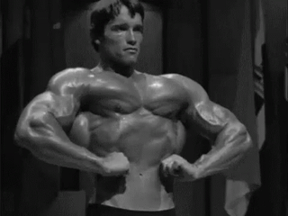 Arnold Schwarzenegger