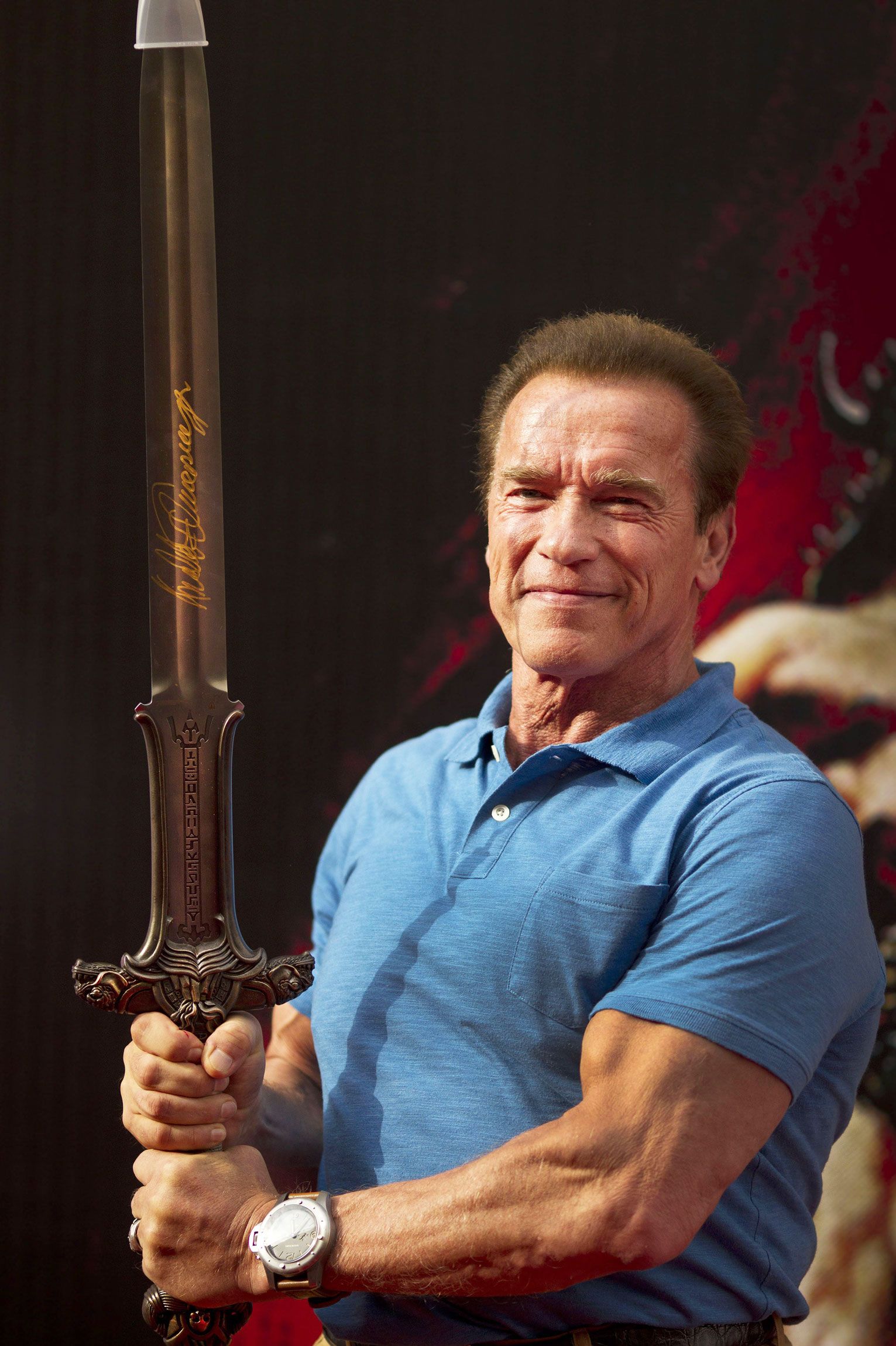 Arnold Schwarzenegger Still Wants To Do Another Conan The Barbarian Movie