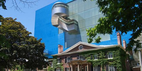 Tour Toronto's Art Gallery of Ontario 
