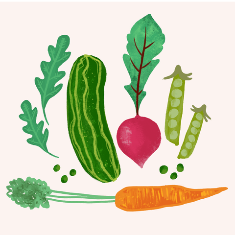 Leaf, Vegetable, Plant, Legume, Botany, Organism, Food, Leaf vegetable, Radish, Daikon, 