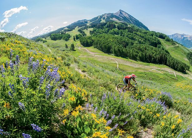 big mountain enduro