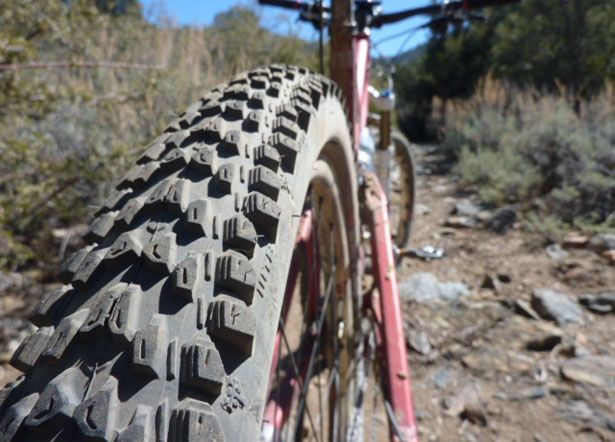 tires for 29er mountain bike